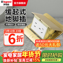 罗格朗（LEGRAND）电工电料五孔地插座隐藏式地插地板地面插座（不含底盒） 液压缓冲铜五孔地插