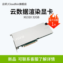 cloud hin XG310 intel独显Iris Xe MAX 32GB显卡 XG310 GPU