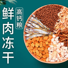 意牌乌龟饲料龟粮虾干乌龟饲料巴西金线草龟料龟幼龟小鳄龟甲鱼龟饲料乌龟食料干虾面包虫干通用型 3.0鲜肉龟粮/1380ml/500g