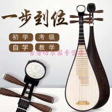 音乐学院推荐 鸡翅木凤尾琵琶乐器考级演奏民族教专业 鸡翅木儿童琵琶