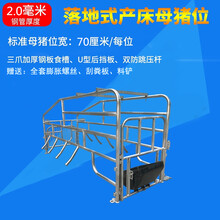 母猪产床单双体猪产床热镀仔猪分娩床养殖设备定限位栏保育床 落地式产床70宽