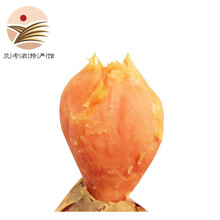 [兰考农特产馆]红薯 蜜薯 新鲜地瓜 软糯无丝 农家自种 大果（强烈推荐煮汤喝） 3斤家庭装