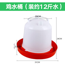 鸡水壶鸡用自动饮水器雏鸡饮水桶鸡鸭鹅自动喂水器新款养鸡设备 鸡水桶(约12斤)