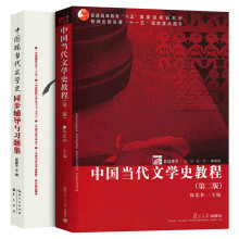 中国当代文学史教程 第2版教材+同步辅导与习题（套装共2本）