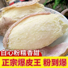 板栗红薯 冰淇淋红薯 白心地瓜 3斤番薯批发 爆粉王薯3斤【小果】高品质爆粉王