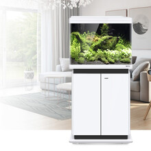 博宇鱼缸柜水族箱地柜脚仿实木储物柜矮柜 ECT-600白