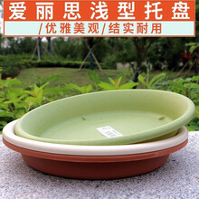 爱丽思 塑料花盆托盘圆形 加厚树脂花卉底座多肉花盘底托阳台盆栽接水盘彩色花托 5号米色-内径11cm