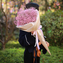 永生花带灯七彩满天星干花束带灯送女朋友爱人七夕生日礼物全国速递 粉色甜筒 满天星