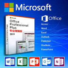 微软正版office2016/专业OFFICE2019小型企业版/WIN10/WIN7专业版/旗舰版 实物:OFFICE2019专业版 专用发票