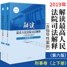 正版 2019新版 解读最高人民法院司法解释(含指导性案例) 刑事卷 上下册 