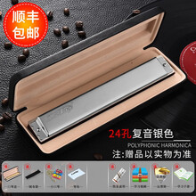 Easttop德国音簧口琴24孔复音重音C调ABDEFG调高级成人初学专业演奏级口琴 银色复音G调