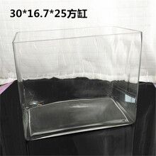 桌面长方形玻璃鱼缸一次成型无缝小型热弯超白鱼缸乌龟草缸水族箱 长宽高30*16*25方缸