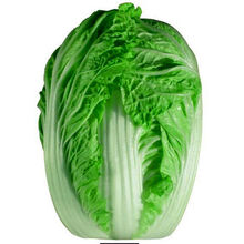 颜集卉【耐热抗病白菜种】胶研夏秋王大白菜种子 耐高温 特抗病 极早熟 胶研夏秋王大白菜种【10克】原装1包
