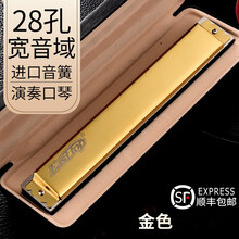 德国进口音簧Easttop28孔宽音域#ABCDEFG复音重音口琴高级成人专业演奏口琴乐器 复音金色#F调