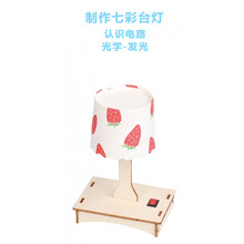 儿童科学实验玩具科技小制作小发明科学小实验套装马达玩具diy儿童手工材料小学生幼儿园STEAM教玩具 JG-大台灯