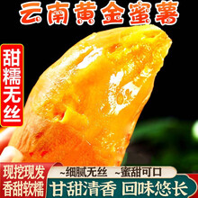 云南黄金蜜薯 现挖新鲜9/3斤应当季正宗红密薯糖心番薯地瓜整箱 5斤装中果【50-150g】