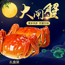 【活蟹】大闸蟹鲜活六月黄公母特大礼盒装 罗菲迪新 大闸蟹(1.8-2.2两)16只