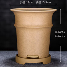 爵遇良品 宜兴紫砂花盆 君子兰盆 精品兰花盆 墨兰蕙兰专用盆竹节创意花盆配托盘家用室内高档花盆 黄色(芝麻段泥)-配紫砂托 如图