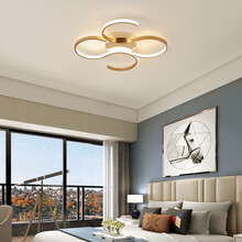 若朗房间灯卧室灯简约现代书房后现代风格创意个性客厅餐厅led吸顶灯 拉丝金 51*49CM 无极调光 38W