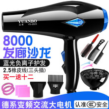 吹风机电吹风机家用大小功率理发店不伤发宿舍用学生冷热发廊吹风筒 nuomeisi 蓝光8000送十二【家用发廊】 #51