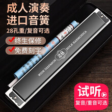 德国进口音簧口琴高级成人专业演奏级重音28孔调复音初学者学生入门 28孔黑色重音【稍难送礼品】