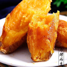 【新鲜现挖】山东红薯地瓜 2.5kg 烟薯25号板栗红薯糖心蜜薯番薯富硒地瓜白薯 新鲜蔬菜 实惠小果5斤装30根左右