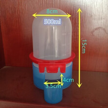 鸽子用品用具水壶双口导水器信鸽用品鸟用鹦鹉自动饮水器喂水鸽具 500m喂食器1个
