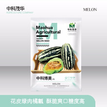 中科茂华 蔬菜种子 中科博美甜瓜种子博洋系列9号91号类型 花皮绿肉橘瓤 超甜酥脆香瓜种子基地种植 中科博美500粒/袋【规模种植】