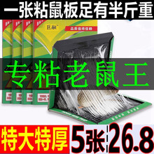 巨融老鼠贴超强力粘鼠板灭鼠神器捕鼠魔毯颗粒老鼠胶家用药捕鼠器粘鼠板老鼠胶强力家用老鼠克星贴笼灭鼠 5张装【加大加厚粘鼠板】