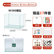 生态微景方形缸玻璃鱼缸水族箱免换水办公室大号养草裸缸 30cm裸缸30X18X20cm白