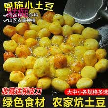 恩施富硒小土豆湖北三峡特产高山新鲜黄心迷你洋芋马铃薯农家蔬菜 5斤现挖 店长推荐 精选装【硬币大小】优先发货