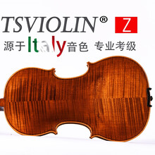 台氏（Tsviolin）进口欧料手工小提琴专业 纯手工 小提琴儿童初学者 演奏级小提琴 成人乐器 4/4深咖啡色标配