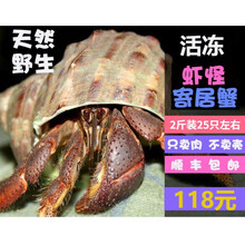 寄居蟹活冻野生寄居蟹东山岛海鲜特产虾怪 2斤装螃蟹毛蟹椰子蟹海怪