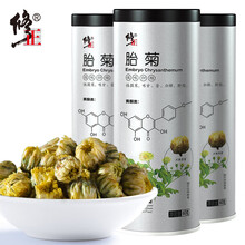 3罐装 修正胎菊菊花茶正宗桐乡杭白菊胎菊王茶叶花草茶散装可配枸杞