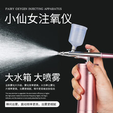 李佳琪同款小仙女 家用手持纳米美白补水精华导入保湿高压注氧仪
