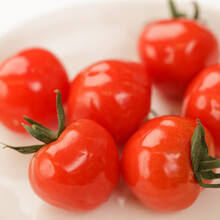 寿禾 珍珠瀑布小番茄种子/苗 串串樱桃西红柿春秋季播种蔬菜 串收圣女果苗冰淇淋番茄种籽种苗菜籽 【红】冰淇淋番茄 20粒