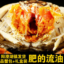 螃蟹 特大六月黄大闸蟹鲜活母公现货水产礼盒苏州 罗菲迪新 六月黄(2.0-2.5两) 16只