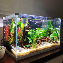 森森 水草缸超白玻璃鱼缸客厅小型生态水族箱中型桌面金鱼缸 金晶超白玻璃HEK-480加宽裸缸(带底膜)