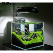 养乌龟的玻璃缸超白鱼缸水族箱生态缸cm厘米方缸热弯缸 直角超白50*35*35送七