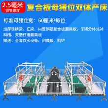 母猪产床单双体猪产床热镀仔猪分娩床养殖设备定限位栏保育床 2.5半复合母猪60双体