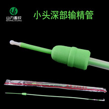 山力畜牧（SHANLIXUMU）猪用深部输精管 一次性母猪人工授精深部管瓶 输精瓶 猪用输精管 小头管+80ML瓶（各1个）