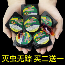 郁康蟑螂药家用蟑螂贴全窝端除蟑螂屋灭蟑螂神器厨房杀蟑螂 一盒6粒装