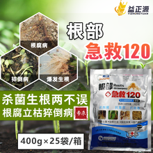 根部急救120 抗根腐重茬 辣椒死苗病毒含2亿活性菌松解土壤治根腐生根养根壮苗增产增色抗病毒根腐重茬 400克