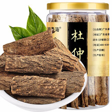 福东海 杜仲皮120g 可泡酒杜仲皮 杜仲茶 老树生杜仲茶杜仲叶片养生茶