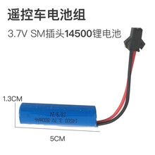 手势感应遥控车可充电变形汽车兰博基尼布加迪电动儿童玩具 充电电池