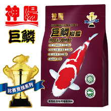 神阳巨鳞锦鲤饲料比赛级鱼粮增体增色鱼食 巨鳞1kg增体L粒/适合35厘米以上鱼吃