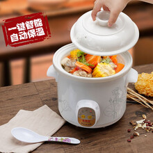 龙兴发全自动家用电炖锅紫砂熬煮粥锅煲粥煨汤锅养生煲汤锅陶瓷电砂锅隔水炖盅迷你电炖盅炖汤盅低功率精炖 白瓷陶瓷盖智能自动款 5L 适合5-6人