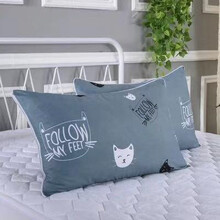 枕头学生单人一只装枕芯送枕套宿舍日式卡通可爱成人男女孩青少年 孔雀蓝卡通蓝猫枕芯＋枕套