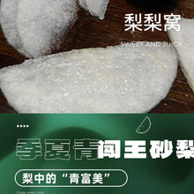 梨梨窝闯王砂梨 季夏青-8斤礼盒装（6-7两大果） 季夏青