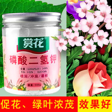利沃风  磷酸二氢钾花肥料三角梅室内花卉果树通用家用叶面肥促花促果绿植通用型肥料 一斤装(内有礼品)